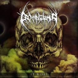 Drown In Sulphur : It Rises